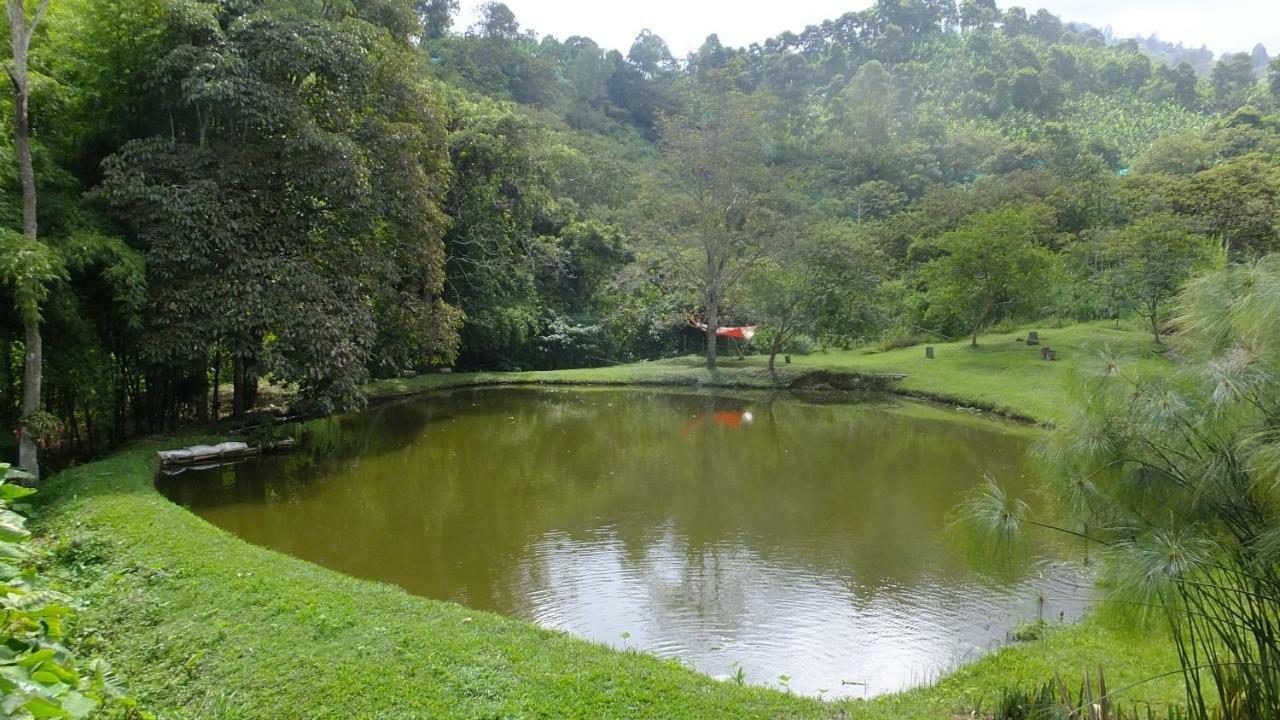 Sonarte Reserva Natural Cordoba  Exterior foto