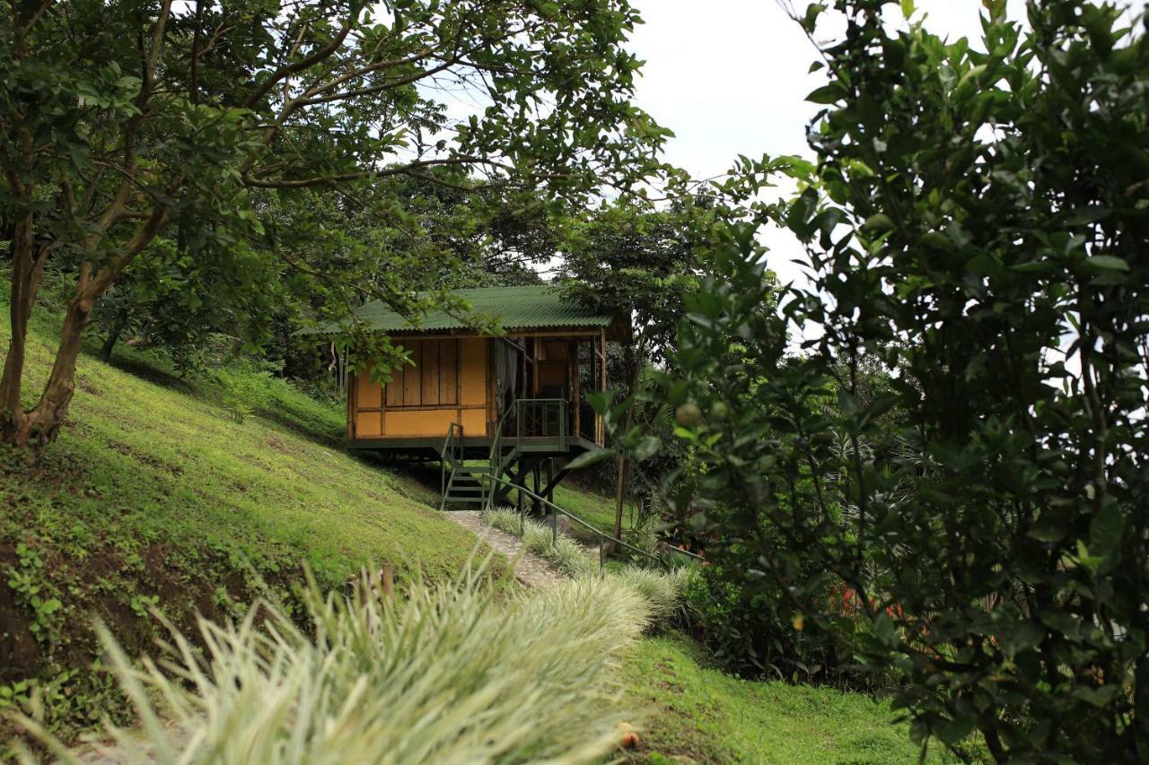 Sonarte Reserva Natural Cordoba  Exterior foto